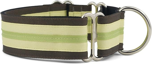 If It Barks - 1.5" Martingale Collar for Dogs - Adjustable - Nylon - Strong and Comfy - Ideal for Training - Made in USA - Medium, Key Lime Pie