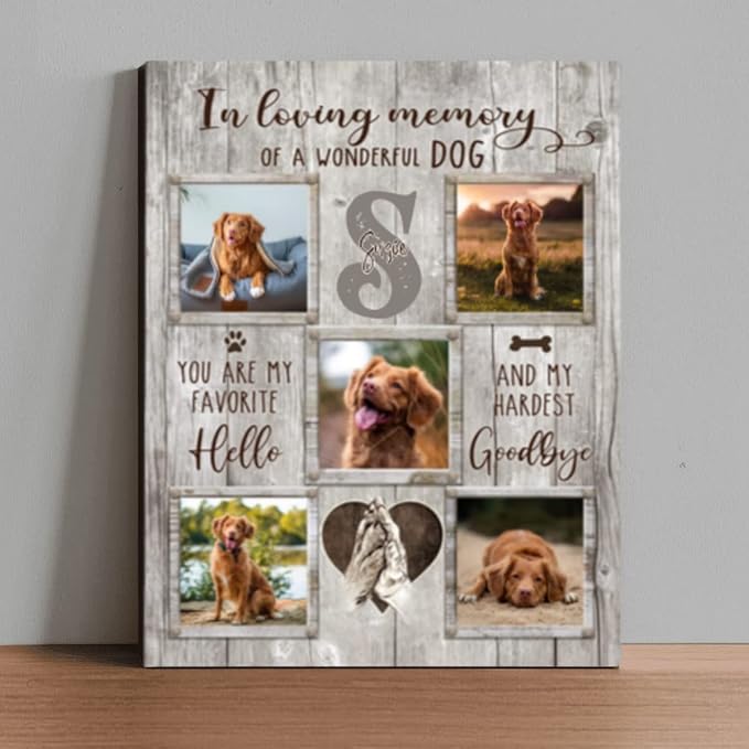 Benicee Shop In Memory Of Pet Memorial Photo Collage, Personalized Dog Loss Gift, Sympathy Gifts for Pet Lovers, Changing Colorful Background to Paint Loving Memory, Ideal Cat Mom Gifts (BG1)