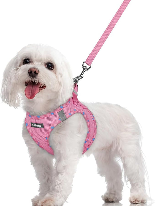 rabbitgoo Dog Harness Small Sized and Leash Set, Step in Soft Light Puppy Vest, Breathable Mesh Pet Harness, Reflective for Safe Easy Walking, Pink & Plaid Trim M