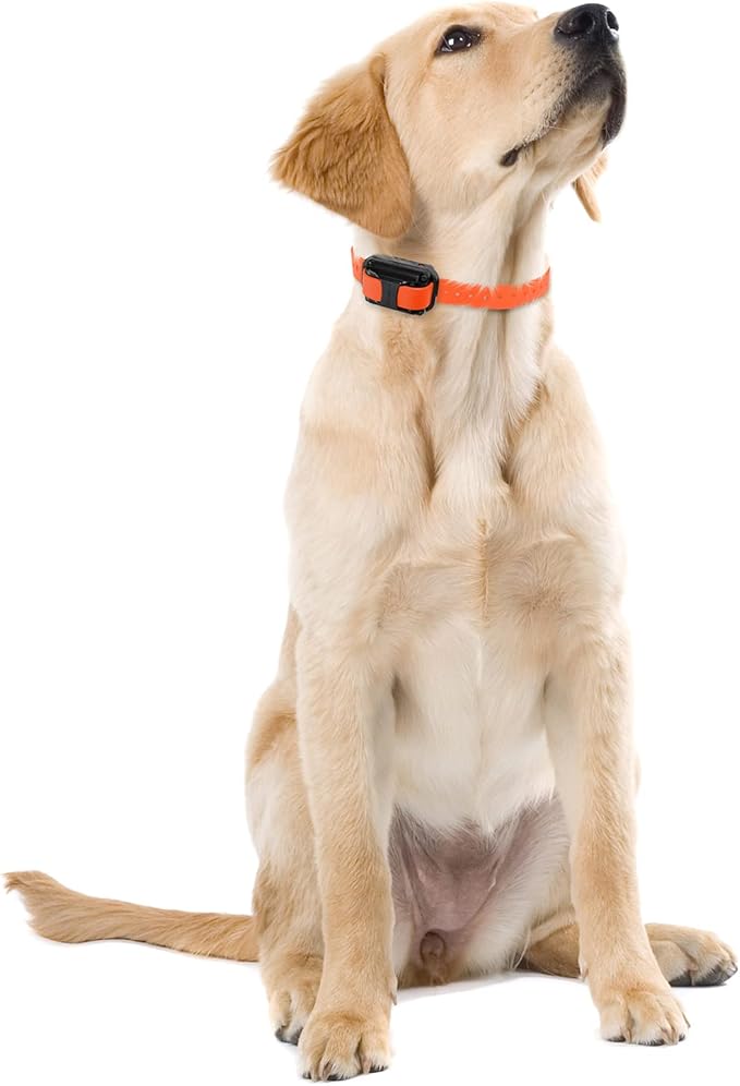 Educator E-Collar The Upland Dog Training Collar w/Remote - 100 Levels of Safe Stimulation, Night Light, Waterproof, Rechargeable, Includes Premium Finger Clicker for 1 Mile 1 Med/Large Dogs, Orange