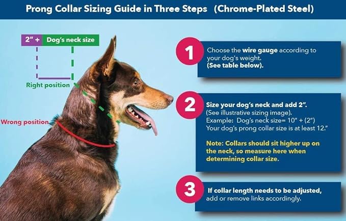 Herm Sprenger Prong Collar for Dog Training with Easy Quick Release Buckle - German Made Dog Collar with Chrome Plated Steel 4.0mm Prongs for Extra Large Dogs (26-31" Neck)