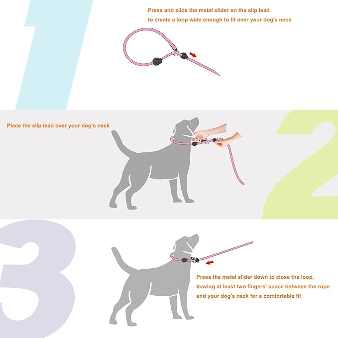 Slip Lead Dog Leash 5 Ft No Pull Reflective Nylon Dog Rope Training Leash with Padded Handle for Puppy Small Medium Dogs(Dark Green)
