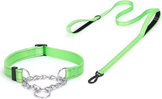 Martingale Dog Collar with Stainless Steel Chain and Leash Set, Martingale Collar with Reflective, 5FT Double Handle Dog Leash Padded, Adjustable for Medium Large Dogs (M, Green)