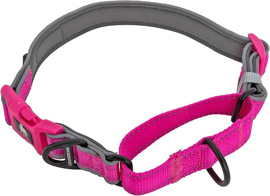 Leashboss Martingale Collar for Dogs | Reflective Nylon Dog Collar for Large Dogs, Medium and Small Dogs | No Pull Pet Training Collar Small | Quick Release Buckle, Adjustable Pet Collar