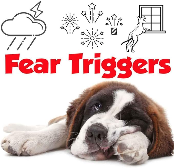 The Blissful Dog St. Bernard Relax Dog Aromatherapy Spray for Your Dog's Anxiety