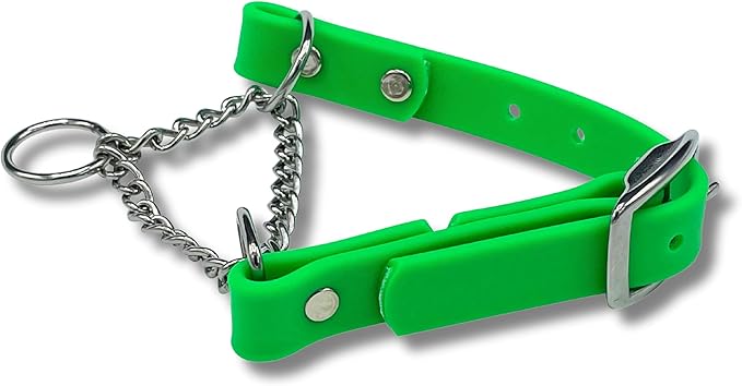 Martingale Collar for Dogs, Biothane, Stainless Steel Hardware, No Pull, Made in The USA, Professional Grade, Medium, Green