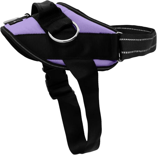 ShawnCo Essential Dog Harness, No-Pull Pet Vest with 3 Leash Clips, No Choke, Reflective, Adjustable and Padded, for Easy Walking and Training for Small, Medium and Large Dogs (ICY Lilac, XS)