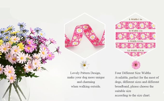 Martingale Collar for Medium Dogs, Girl Dog Collar with Daisy Flowers, Heavy Duty No Pull Dog Collar Floral Design Dog Training Collar, Perfect for Training, Walking, Hunting (Light Blue + Leash, M)