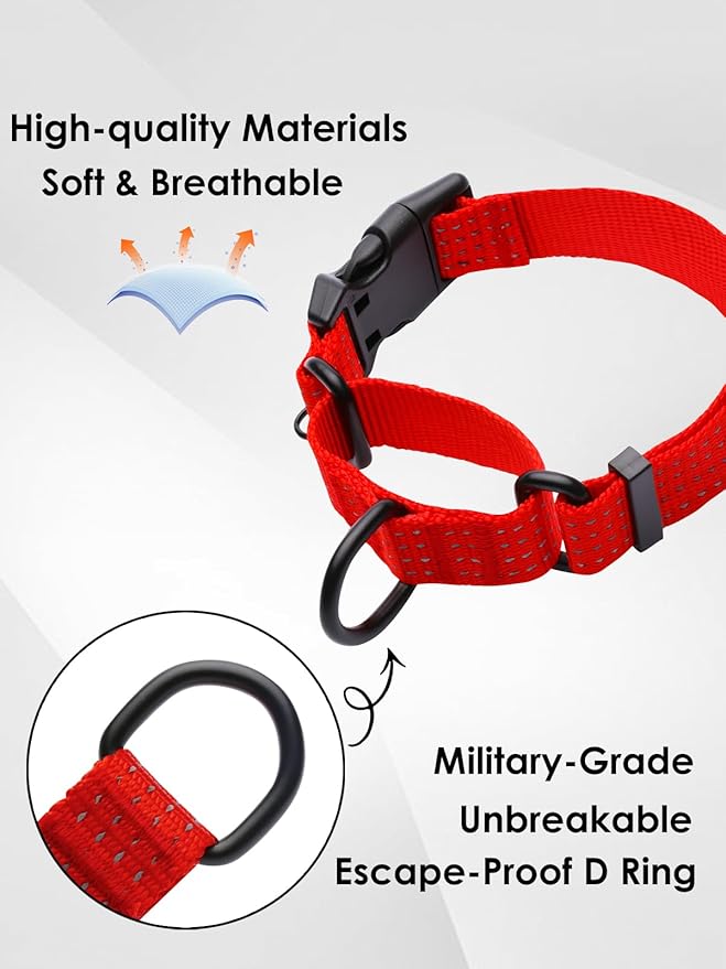 Martingale Collar for Dogs, Adjustable Soft Nylon Dog Collars with Special Design Cute Patterns (RED, L (1" x 19"-26"))