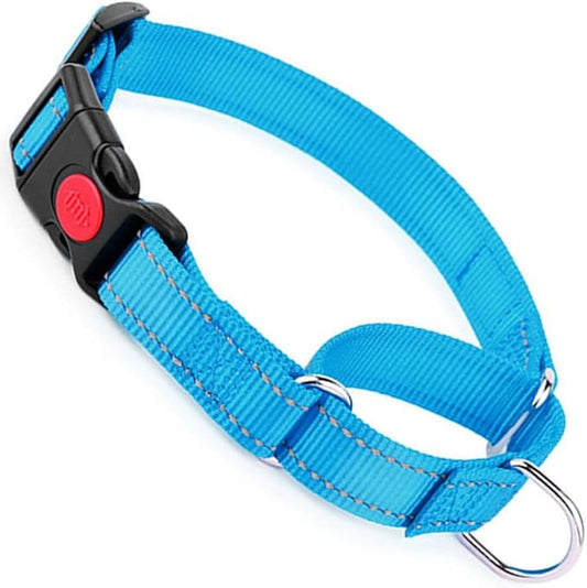 Martingale Collar for Dogs with Buckle, Reflective Dog Choke Collar Escape Proof No Pull Cinch Dog Training Collars Adjustable for XS Small Medium Large Breed Pet Dogs, Light Blue S
