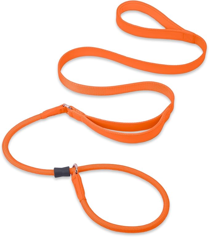 Slip Lead Dog Leash, Double Handle, Soft Leather & Nylon, 6ft Orange