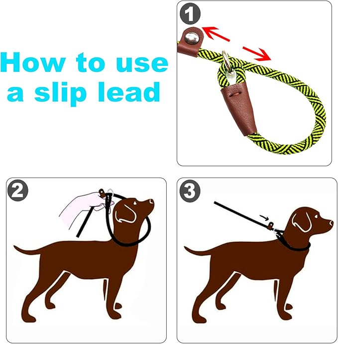 Slip Lead Dog Leash for Small Dogs, 1/4" x 5ft No Pull Slip-on Lightweight Training Leash (Green)