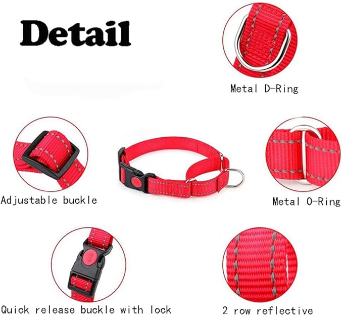 Martingale Collar for Dogs with Buckle, Reflective Dog Choke Collar Escape Proof No Pull Cinch Dog Training Collars Adjustable for XS Small Medium Large Breed Pet Dogs, Purple S