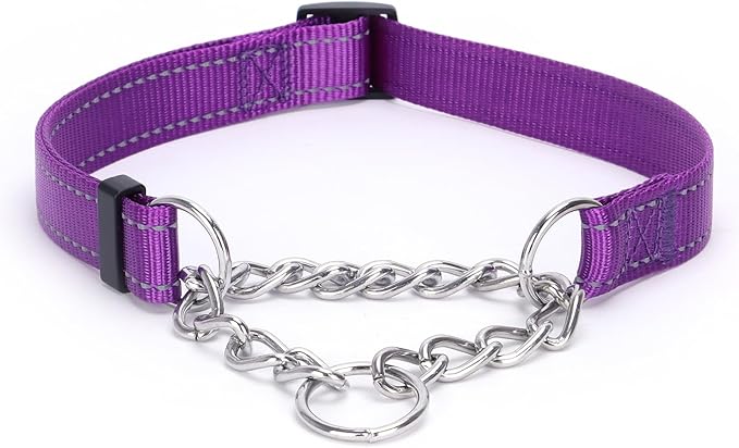 Martingale Dog Collar with Stainless Steel Chain and Leash Set, Martingale Collar with Reflective, 5FT Double Handle Dog Leash Padded, Adjustable for Medium Large Dogs (Purple Collar, M)