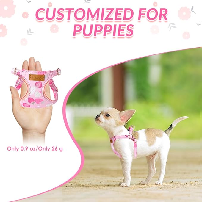 SlowTon No Pull Dog Harness with Leash - Soft Lightweight Floral Pattern Puppy Harness, Adjustable Pet Harness for Small Medium Dogs (Pink Strawberry, XXS)