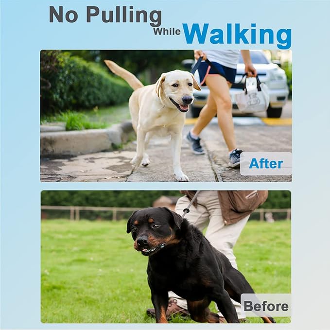 Dog Collar with Buckle Adjustable Dogs Collars for Small Medium Large Dogs (XL:4.0mm(Neck 22-26"))