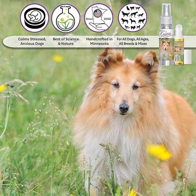 The Blissful Dog Shetland Sheepdog Relax Aromatherapy Spray for Your Dog's Anxiety