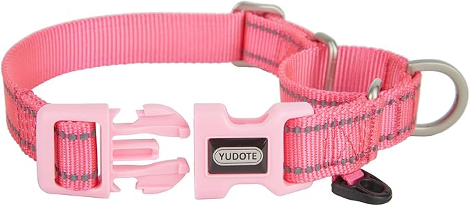 Martingale Collar Reflective Nylon Collar with Safety Quick Release Buckle,Escape-proof Anti-pull for Small Medium and Heavy Duty Dogs(Hotpink,S)