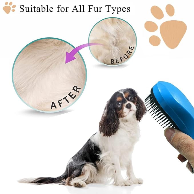 Small Dog Brush, Soft Pet Grooming Brush for Shih Tzus, Yorkies, Maltipoos, Maltese, Puppy Massaging Hair Brush, Cat Brush, for Small Animals Rabbits of All Hair Types (Gradient Color)