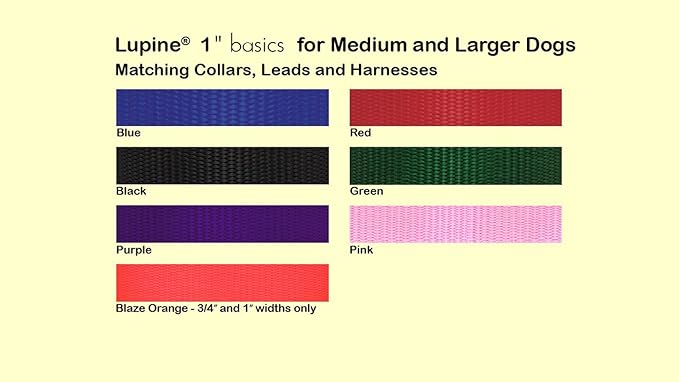 LupinePet Basics 1" Red 15-22" Martingale Collar for Medium and Larger Dogs