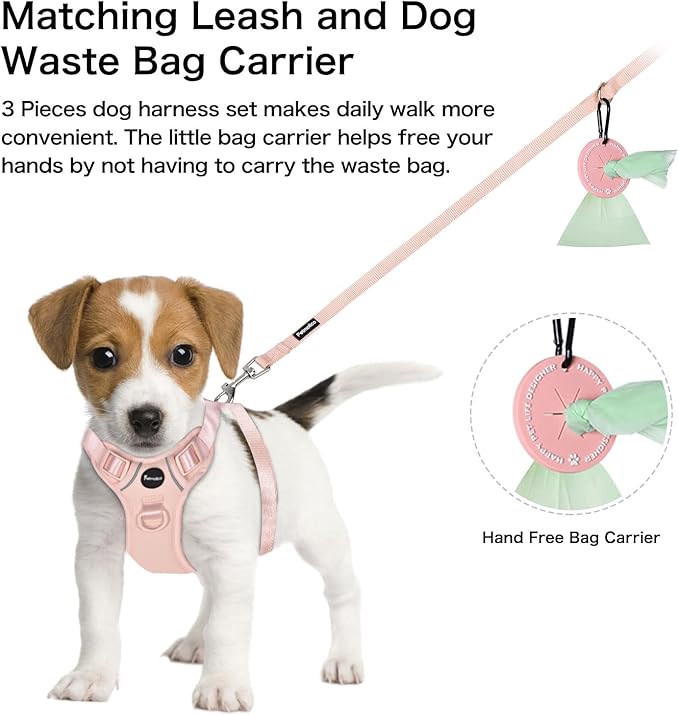 Petmolico Dog Harness for Small Dogs, Cute Harness Vest with Two Leash Clips and Soft Handle, Reflective Easy Walk Puppy Vest - Pink, Large