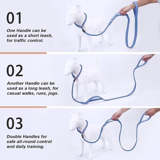 Slip Lead Dog Leash, Dog Training Leash with Double Handle, Soft Leather Slip Leash and Collar, Heavy Duty Nylon Dog Lead, No Pull Walking for Medium Large Small Dogs 5ft Blue Purple