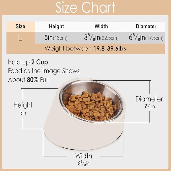 SuperDesign Mess Free 15° Slanted Bowl for Dogs and Cats, Tilted Angle Bulldog Bowl Dog Feeder, Non-Skid & Non-Spill, Easier to Reach Food L/2 Cup Teal