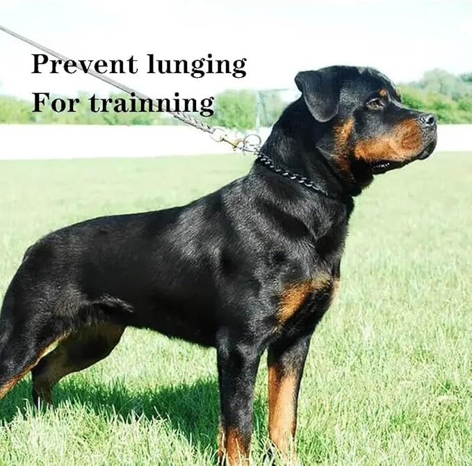 Choke Collar for Dogs, Metal Dog Chain Collar, Slip Link Training Puppy Collars for XS Small Medium Large Breed Dogs, Silver M