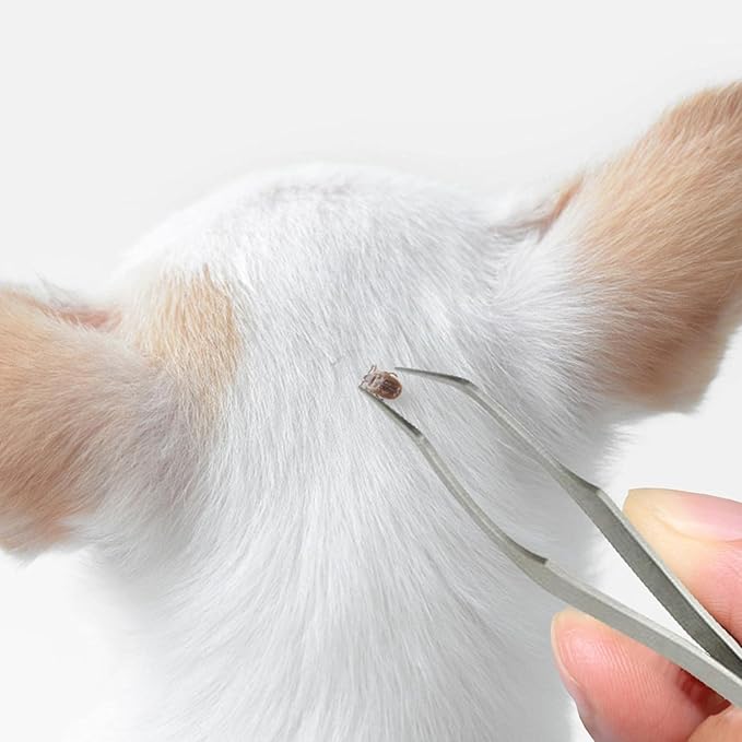 1Pc Silver 2 in 1 Tick Removal Tool for Pets,Stainless Steel Professional Tick Tweezers Ticks Remover for Dogs, Cats and Humans,Flea and Tick Control,Tick Remover Tools Flea and Tick Control