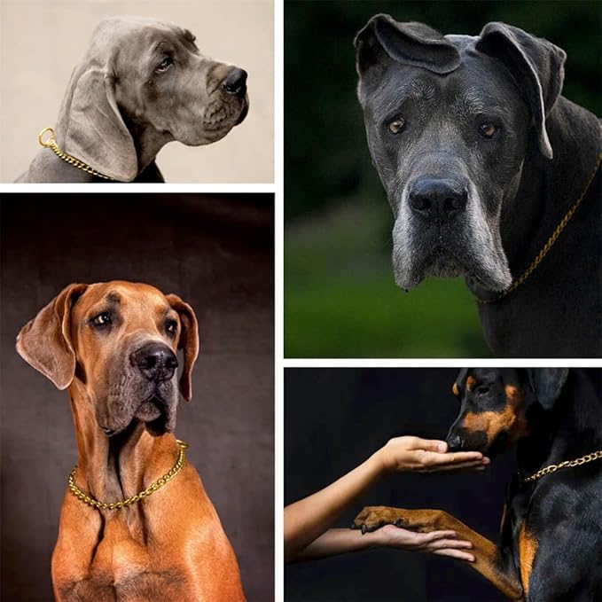 Gold Chain Collar for Dogs,Metal Slip Link Martingale Dog Collar Training Heavy Duty Male Boys Dog Chain Female Girls Puppy Collars for XXS XS Small Medium Large Big Breed,XS