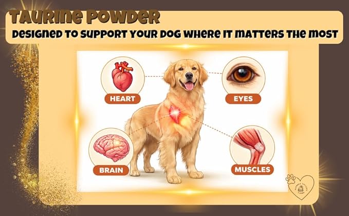 Taurine for Dogs - Taurine Powder Supplement, 144 Servings, 500mg, Heart, Brain, Eyes, Muscle, Energy, and Growth, (6oz)