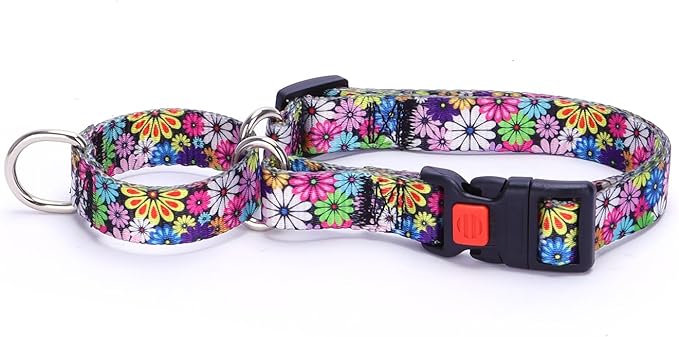 Martingale Collar for Dogs, Colorful Daisies Martingale Collar for Girl Female Dogs Large Medium and Small, with Quick-Release Buckle Perfect for Training, Walking, Hunting (S)