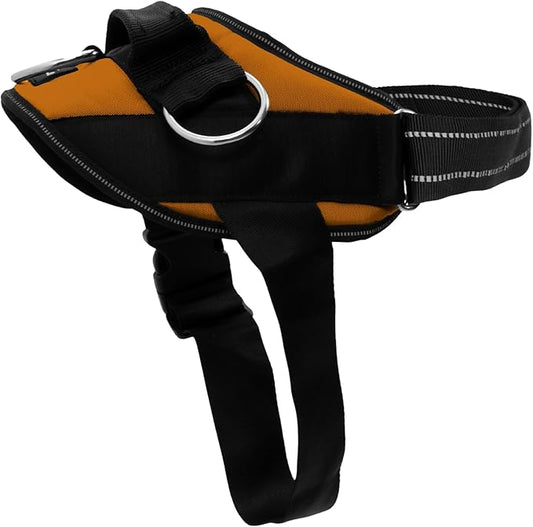 ShawnCo Essential Dog Harness, No-Pull Pet Vest with 3 Leash Clips, No Choke, Reflective, Adjustable and Padded, for Easy Walking and Training for Small, Medium and Large Dogs (Sunset Orange, L)