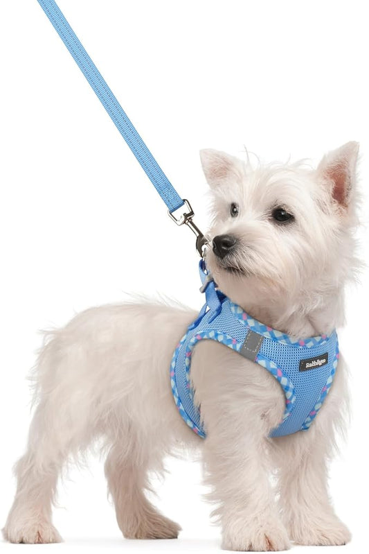 rabbitgoo Dog Harness Small Sized and Leash Set, Step in Soft Light Puppy Vest, Breathable Mesh Pet Harness, Reflective for Safe Easy Walking, Blue & Plaid Trim S