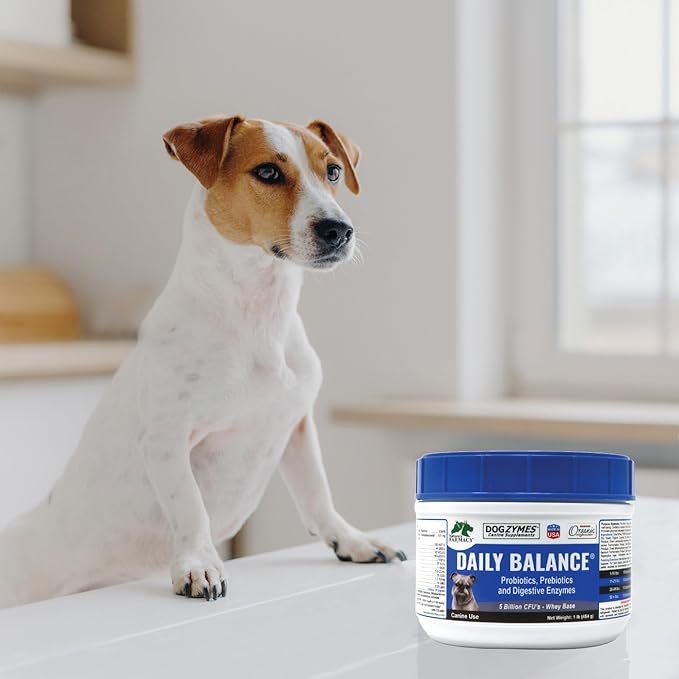 DOGZYMES Daily Balance Canine Supplement by Nature’s Farmacy – Probiotics + Prebiotics + Digestive Enzymes – 5 Billion CFUs – Whey Base – 2 lbs (908 g)