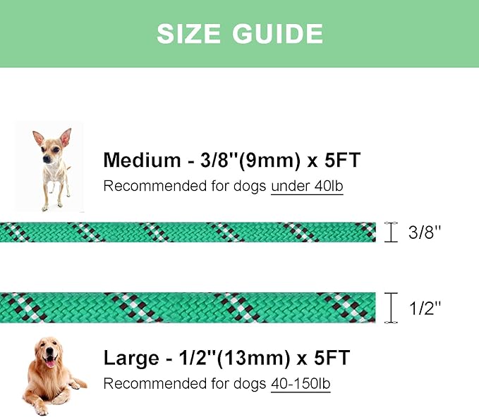 5 FT Slip Lead, Heavy Duty Rope Leash for Small to Large Dogs, No Pull Training Lead with Reflective Thread, Strong Comfortable Loop (Green Stripe, Large(1/2"))