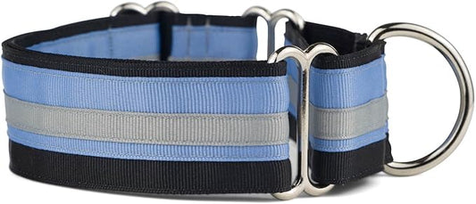 If It Barks - 1.5" Martingale Collar for Dogs - Adjustable - Nylon - Strong and Comfy - Ideal for Training - Made in USA - Large, Black Ice