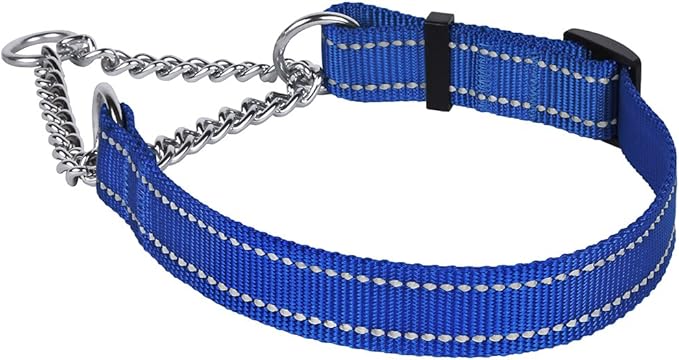 CollarDirect Martingale Dog Collar Training Adjustable Stainless Steel Chain Reflective Nylon Pet Collars for Medium Large Dogs (S, Neck Fit 12"-18", Blue)