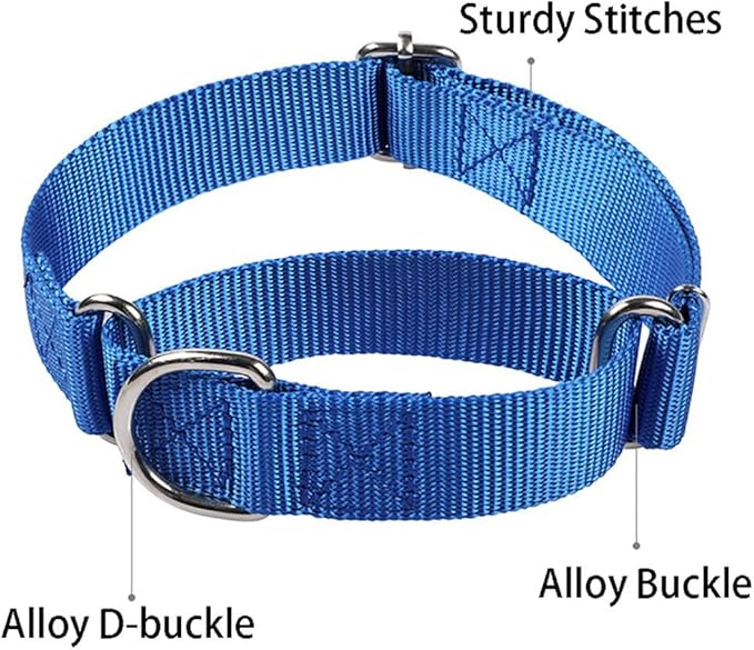 No Pull Martingale Dog Collar, Dog Choker Collar for Large Dogs Heavy Duty No Slip Training Martingale Collars for Small Medium Large Dog (Pink, L)