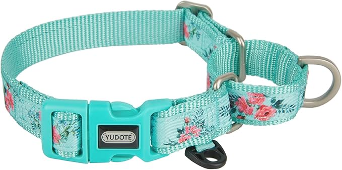 Martingale Dog Collar,Floral Pattern,with Safety Quick Release Buckle,Escape-Proof Anti-Pull for Small Puppy Dogs(Green Floral,XS)