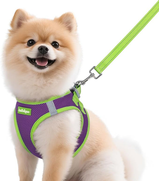 rabbitgoo Dog Harness Small Sized and Leash Set, Step-in Breathable Pet Harness, Soft Walking Reflective Puppy Vest for Small Dogs, Purple & Green, M