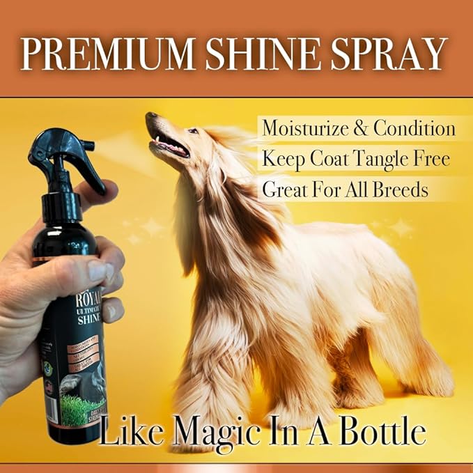 King Kanine Royal Coat Dog Spray Deodorizer and Conditioner - Leave in Grooming Shine Spray for Long and Short Hair Coats - Moisturizing Orange and Rosemary Scented Pet Deodorizer - 8 FL OZ