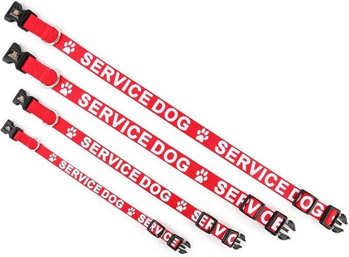 Plutus Pet Service Dog Collar,Printed in Large Letters on Nylon Webbing,Prevents Accidents by Warning Others of Your Dog in Advance,Two Colors,Four Sizes,Neck 14-20 inch,Medium,Red