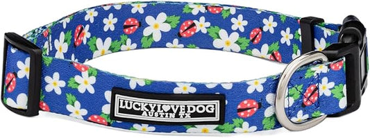 Lucky Love Dog - Adjustable Dog Collar with Easy Click Buckle for Small Ones, Durable, & Comfortable for Male & Female Dogs, Pet Collar for Puppies & Adult Dogs - Lilian, XS
