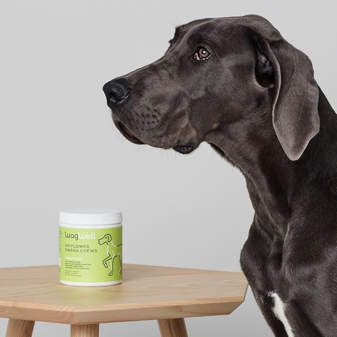 WagWell Ahiflower Omega Chews for Dogs | Vet-Formulated Health Supplement for Joints, Skin, Coat | Plant-Based Omega 3-6-9 | for Dogs of All Ages & Sizes, All Natural, Made in USA | 60 Chews