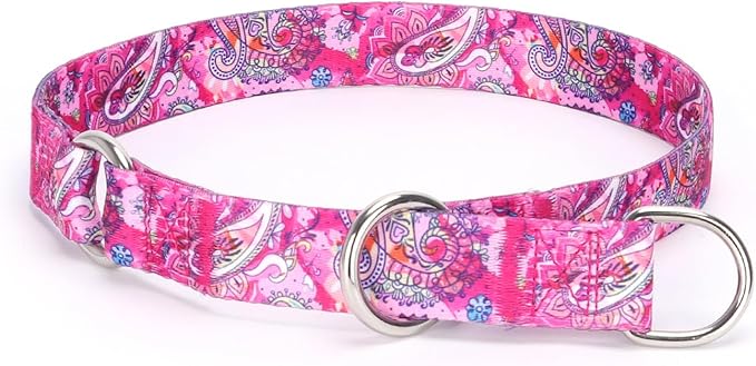 Training Dog Collar, No Pull Martingale Collar, Slip Collar with Slidable Stop Ring for Small, Medium, Large Dogs (M, Pink)