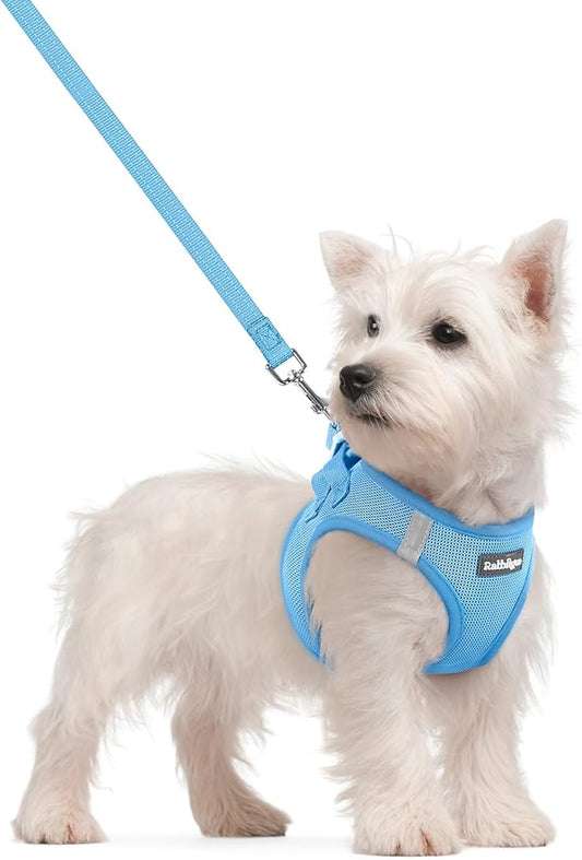 rabbitgoo Dog Harness Small Sized and Leash Set, Step in Soft Light Puppy Vest, Breathable Mesh Pet Harness, Reflective for Safe Easy Walking, Blue S