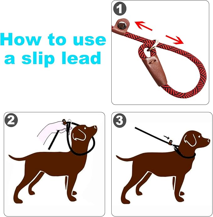 Slip Lead Dog Leash, 1/4" x 5ft No Pull Slip-on Training Leash for Small and Medium Dogs (Red)