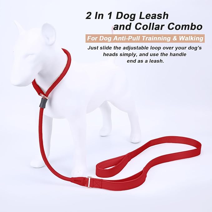 Slip Lead Dog Leash, Double Handle, Soft Leather, Heavy Duty Nylon, No Pull Walking, 5ft Red