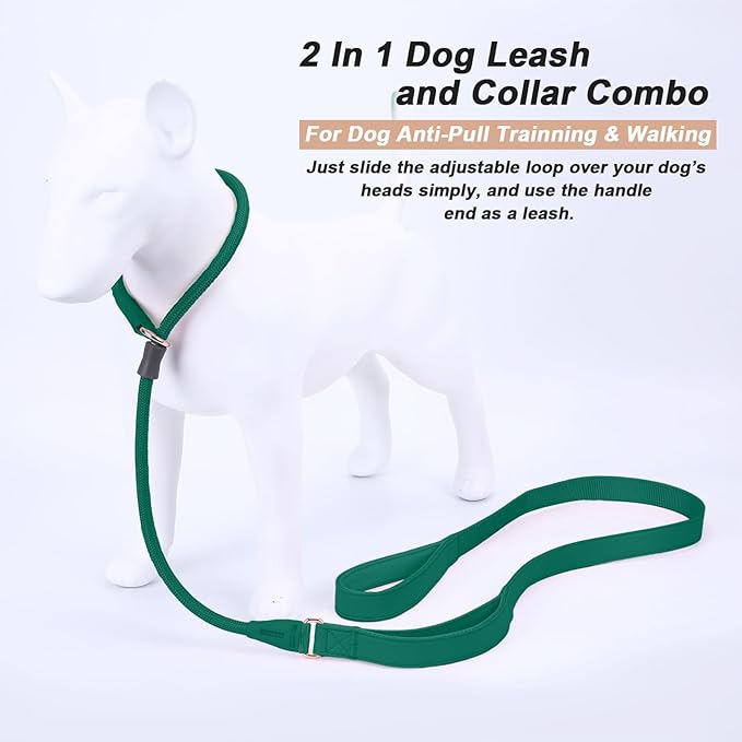 Slip Lead Dog Leash, Double Handle, Soft Leather, Heavy Duty Nylon, No Pull Walking, Medium Large Small Dogs, 6ft Dark Green